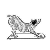 Find What Feels Good Yoga